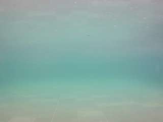 voyeurcam-casa-salsa-pool-1