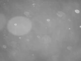 voyeurcam-casa-salsa-pool-1
