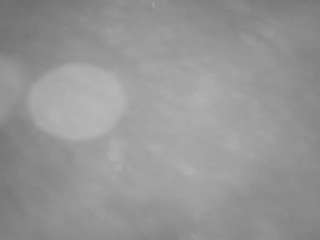 voyeurcam-casa-salsa-pool-1