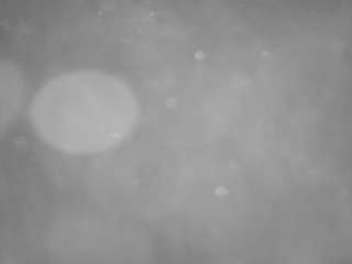 voyeurcam-casa-s... Live Webcam on CamSoda