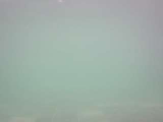 voyeurcam-casa-salsa-pool-1