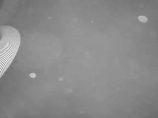 voyeurcam-casa-salsa-pool-1