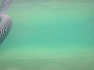 voyeurcam casa salsa pool 1