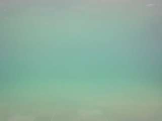 voyeurcam casa salsa pool 1