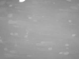 hd  voyeur  sexwebcam...