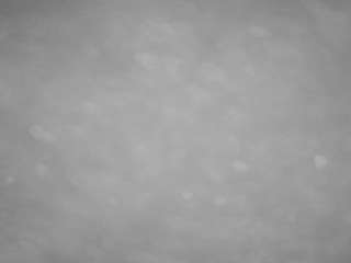 voyeurcam casa salsa pool 1