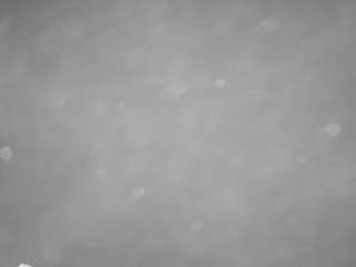 voyeurcam casa salsa pool 1