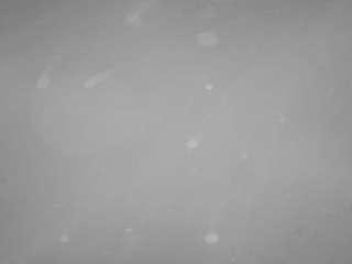 hd  voyeur  sexwebcam...
