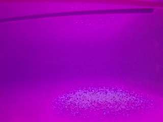 voyeurcam-casa-salsa-pool-1 Live Webcam on CamSoda