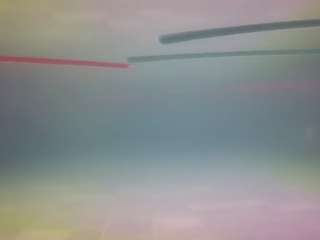 voyeurcam-casa-salsa-pool-1