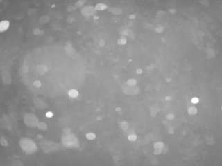 voyeurcam-casa-salsa-pool-1