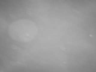 voyeurcam-casa-salsa-pool-1