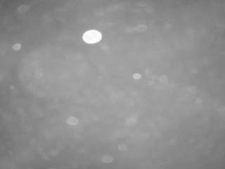 voyeurcam casa salsa pool 1