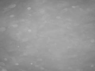 voyeurcam casa salsa pool 1