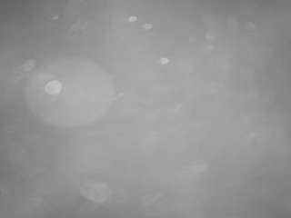 voyeurcam-casa-salsa-pool-1