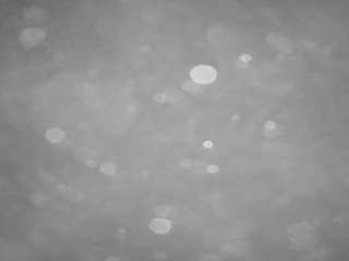 voyeurcam-casa-salsa-pool-1