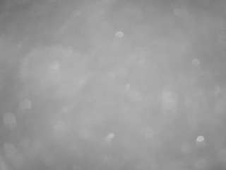 voyeurcam-casa-salsa-pool-1
