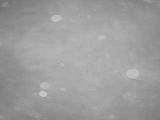 voyeurcam-casa-salsa-pool-1 webcam model