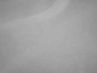 voyeurcam-casa-salsa-pool-1's Info Image