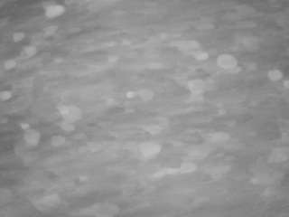 voyeurcam-casa-salsa-pool-1 webcam model
