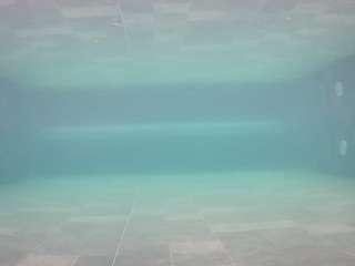 voyeurcam-casa-salsa-pool-1