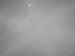 voyeurcam-casa-salsa-pool-1