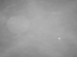 voyeurcam-casa-salsa-pool-1