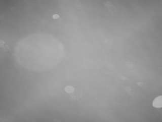 voyeurcam-casa-s... Live Webcam on CamSoda