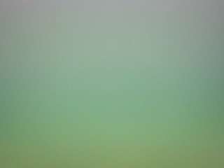 voyeurcam-casa-salsa-pool-1