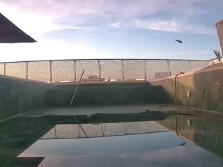 voyeurcam-casa-salsa-pool-1 camsoda