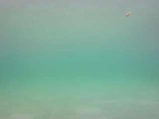  voyeurcam-casa-salsa-pool-1 chat room