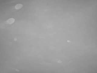  voyeurcam-casa-salsa-pool-1 chat room