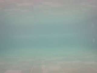voyeurcam-casa-salsa-pool-1