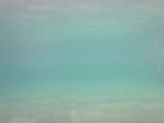 voyeurcam-casa-salsa-pool-1
