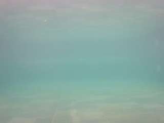 voyeurcam-casa-salsa-pool-1