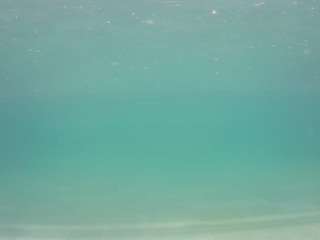 voyeurcam casa salsa pool 1
