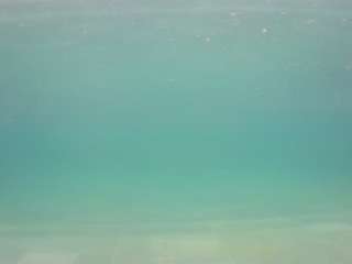 voyeurcam casa salsa pool 1