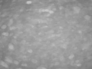 voyeurcam-casa-salsa-pool-1