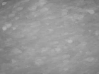 voyeurcam-casa-salsa-pool-1