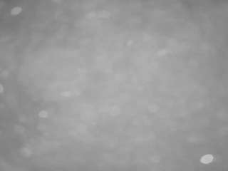voyeurcam-casa-salsa-pool-1 webcam model