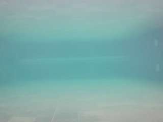 voyeurcam casa salsa pool 1