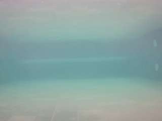 voyeurcam-casa-salsa-pool-1