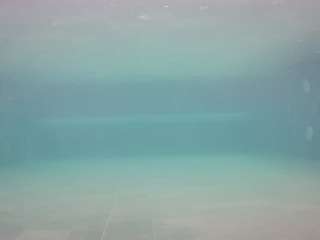 voyeurcam-casa-salsa-pool-1