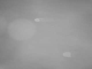 voyeurcam-casa-s... Live Webcam on CamSoda