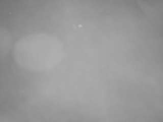 voyeurcam-casa-salsa-pool-1