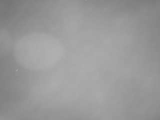 voyeurcam-casa-salsa-pool-1