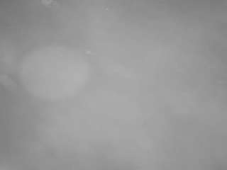 voyeurcam-casa-salsa-pool-1