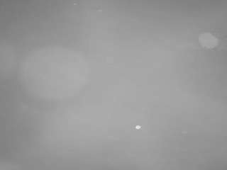 voyeurcam-casa-salsa-pool-1 Live Webcam on CamSoda