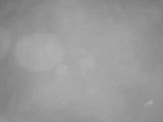 voyeurcam-casa-salsa-pool-1