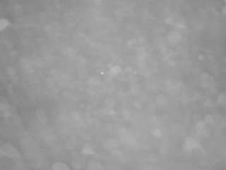 voyeurcam-casa-salsa-pool-1